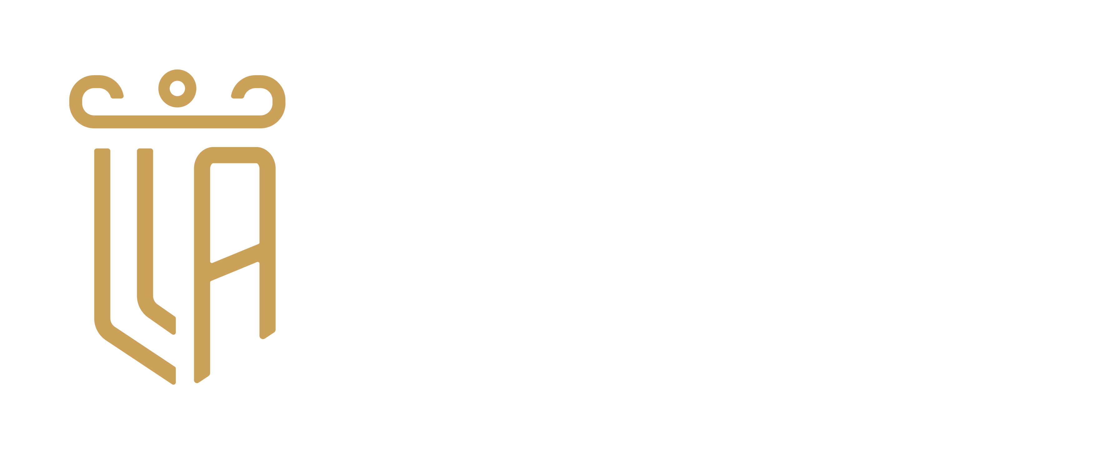 Leão Amorim Advocacia